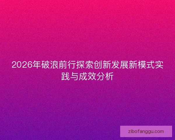 2026年破浪前行探索创新发展新模式实践与成效分析